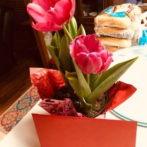 Meet your Posher, Kay